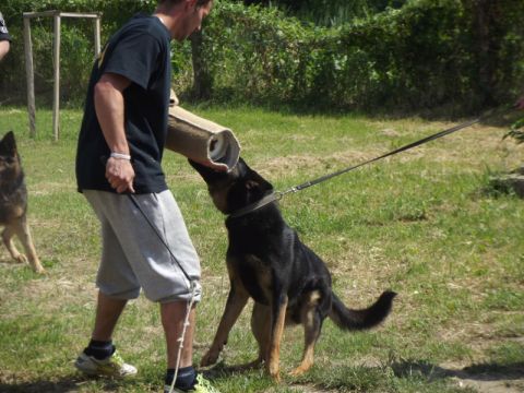 Karcsa_2014_05_26_egtc napok (10)
