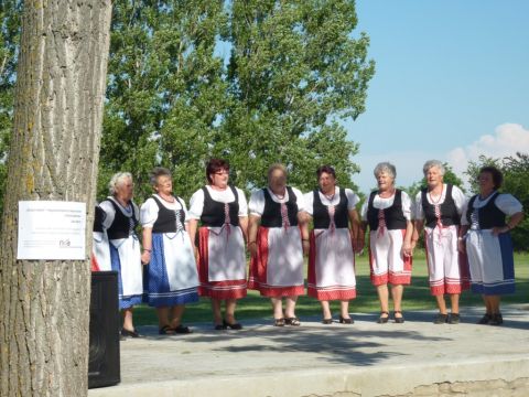 14.06.12._Nagyrozvagy_NKA 2