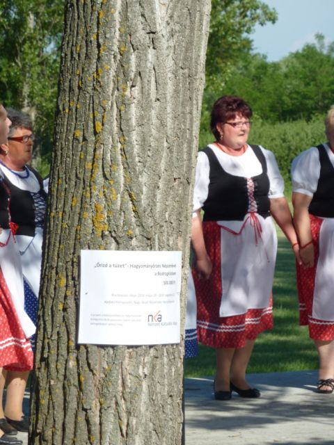 14.06.12._Nagyrozvagy_NKA 6