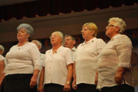 2014_06_19_cigánd_idősek_klubja_találkozója (69)