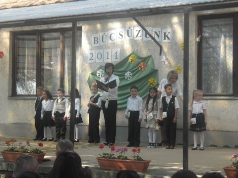 ovis ballagás (7)