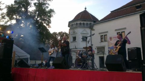 2014.07.26. rock fesztivál pácin (39)