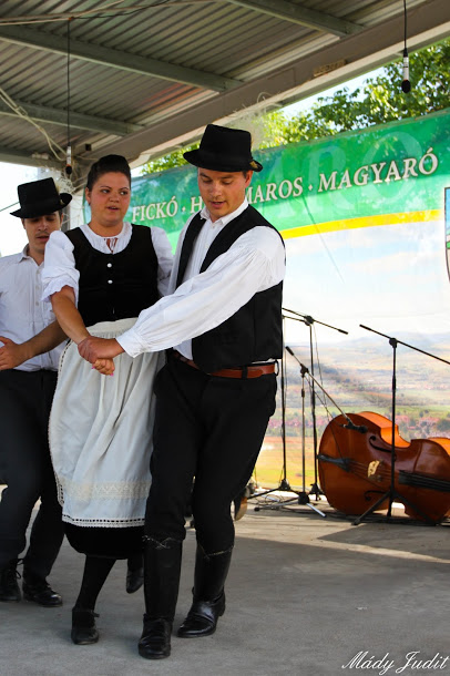 2014_06_26-30_cigánd_cigándiak_erdélyben (25)