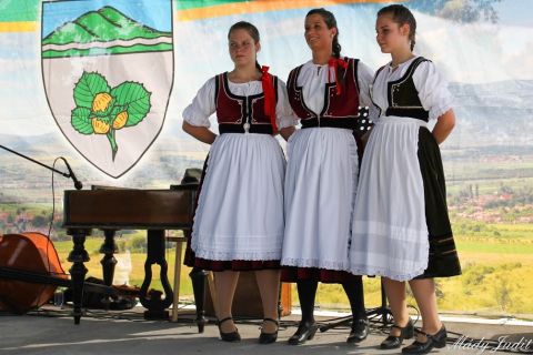 2014_06_26-30_cigánd_cigándiak_erdélyben (26)