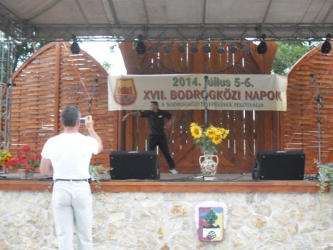 2014_07_05_tiszacsermelyi_fellepok_a_bodrogkozi_napon (4)