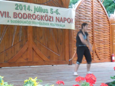 2014_07_05_tiszacsermelyi_fellepok_a_bodrogkozi_napon (6)