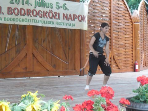 2014_07_05_tiszacsermelyi_fellepok_a_bodrogkozi_napon (7)