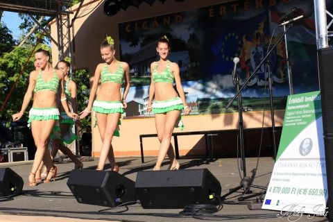 2014_07_19_cigánd_gasztronómia és hagyományőrzés (52)