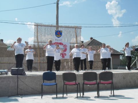 2014_07_19_II. Kisrozvágyi Falunap (112)