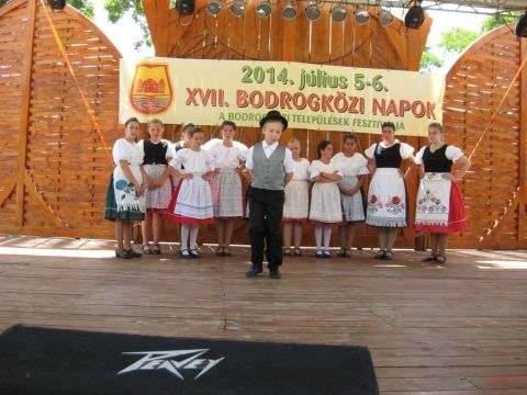 2014_bodrg-kozi-napok_kepek_pacin (101)