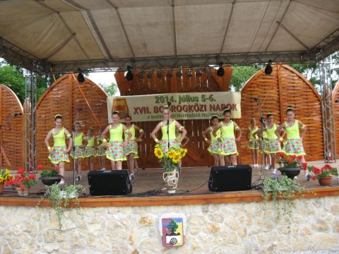 2014_bodrg-kozi-napok_kepek_pacin (155)