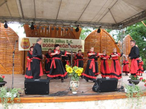 2014_bodrg-kozi-napok_kepek_pacin (177)