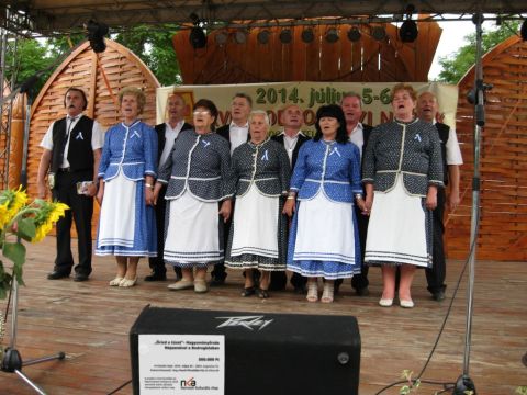 2014_bodrg-kozi-napok_kepek_pacin (227)