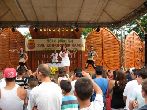 2014_bodrg-kozi-napok_kepek_pacin (233)