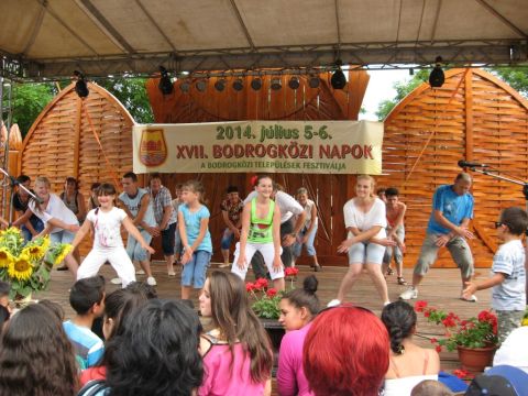 2014_bodrg-kozi-napok_kepek_pacin (249)