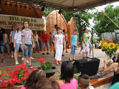 2014_bodrg-kozi-napok_kepek_pacin (252)