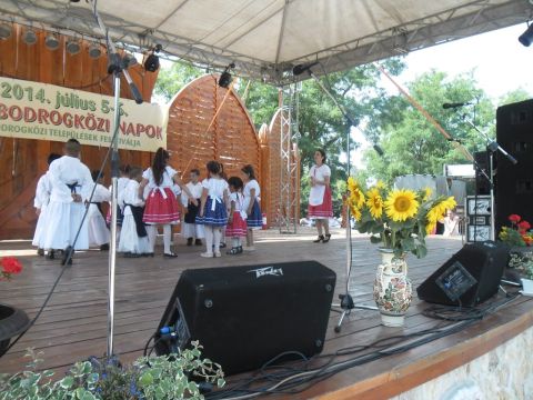 2014_bodrg-kozi-napok_kepek_pacin (59)