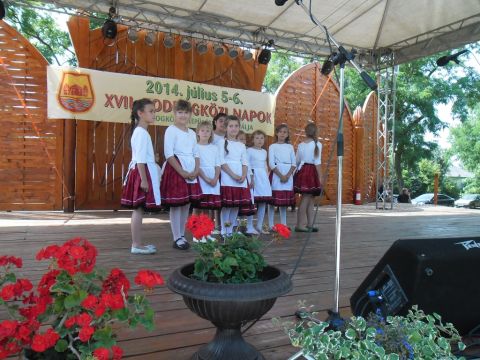 2014_bodrg-kozi-napok_kepek_pacin (68)
