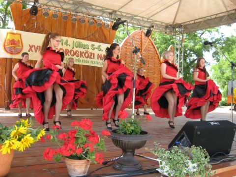 2014_bodrg-kozi-napok_kepek_pacin (82)