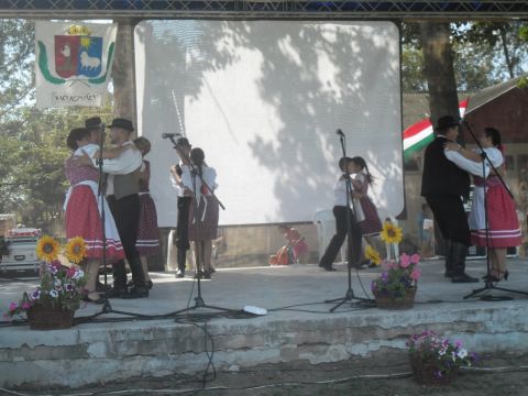 2014.08.02. Nagyrozvágy Falunap (31)