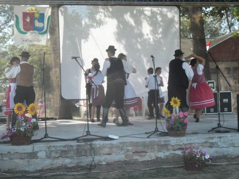 2014.08.02. Nagyrozvágy Falunap (32)