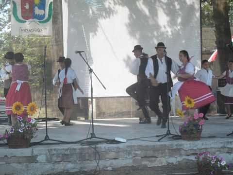 2014.08.02. Nagyrozvágy Falunap (37)
