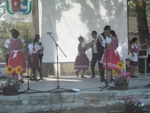 2014.08.02. Nagyrozvágy Falunap (38)