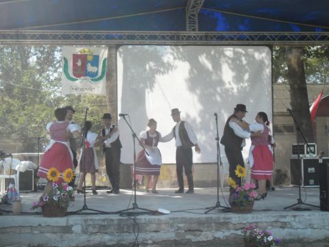2014.08.02. Nagyrozvágy Falunap (46)