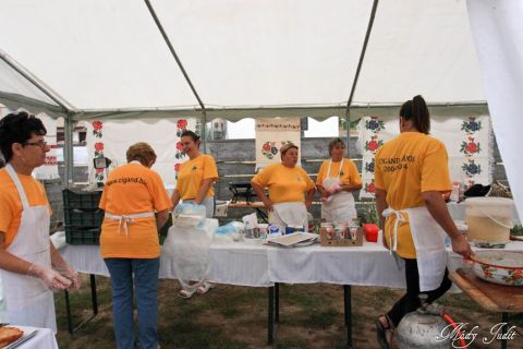 2014_08_23_cigánd_pet_kupa_záró_buli (25)