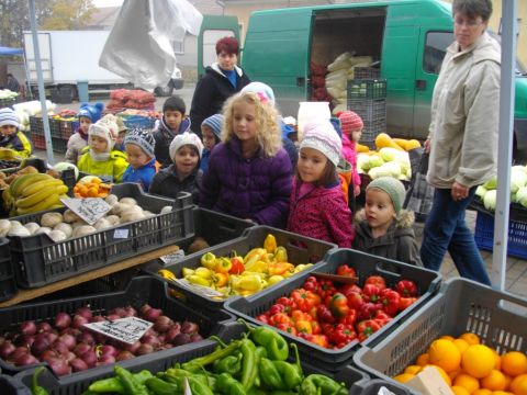 Piacon (5)