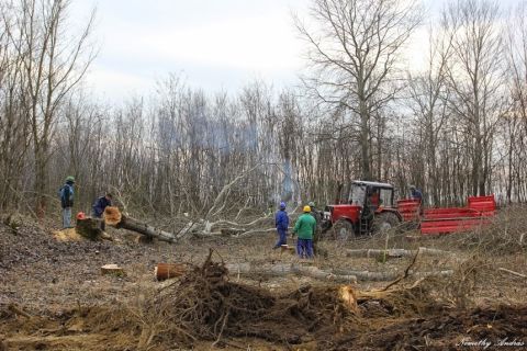 2015_01_14_cigánd_hulladék rekultiváció (6)
