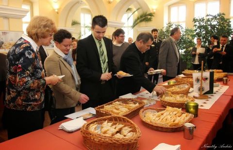 2015_02_12_cigánd_megyei-közgyűlésen az apróbéles (15)