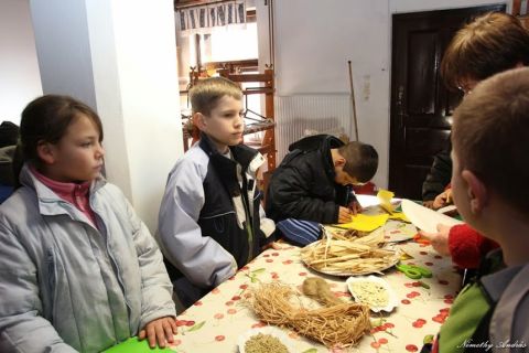 2015_02_17_cigánd_húshagyó_kedd (5)
