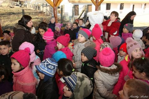 2015_02_17_cigánd_húshagyó_kedd (8)