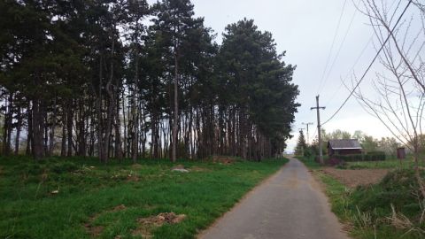 Karcsa_2015_04_22_közmunka (1)