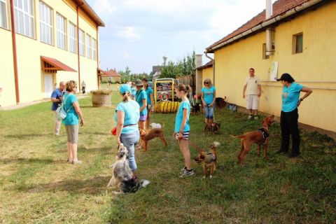 2015_06_14_cigánd_gyereknap (124)