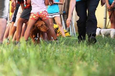 2015_06_14_cigánd_gyereknap (151)