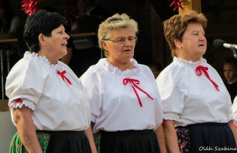 2015_08_20_cigánd_államalapítás_ünnepe (13)