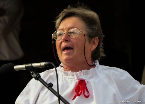 2015_08_20_cigánd_államalapítás_ünnepe (14)