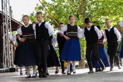 2015_08_21_cigánd_városnap (9)