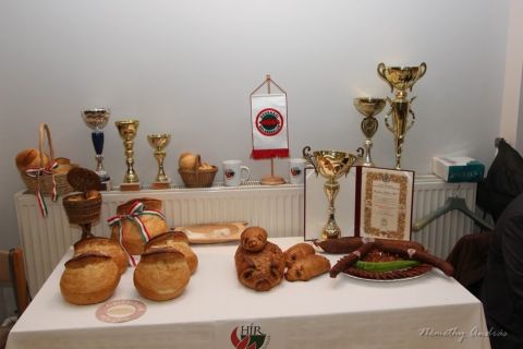 2015_12_10_tera madre (8)