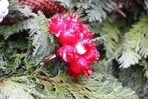 2015_12_20_cigánd_advent_4 (3)