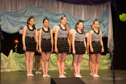 2016_06_14_cigánd_iskolagála (11)