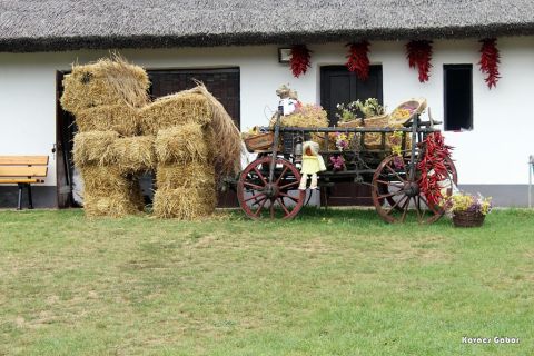 2017_08_20_cigánd_városnap (36)