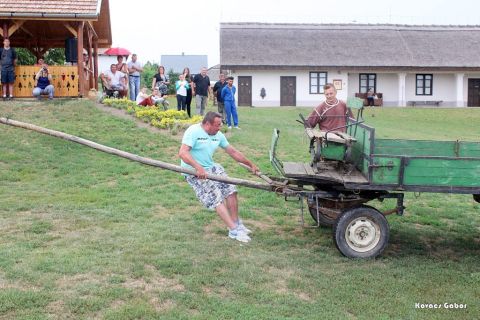 2017_08_20_cigánd_városnap (47)