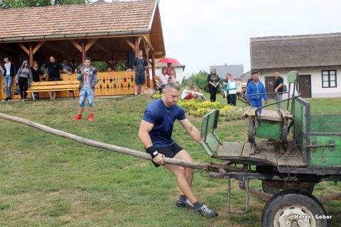 2017_08_20_cigánd_városnap (59)