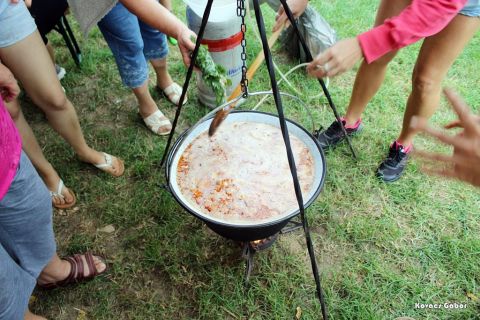 2017_08_20_cigánd_városnap (7)