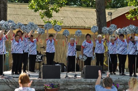 2017_falunap_válogatás (54)