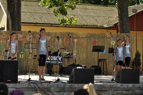 2017_falunap_válogatás (67)