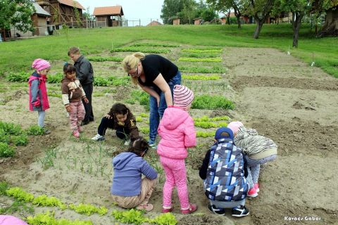 2017_09_06_cigánd_Ovi-kert (38)